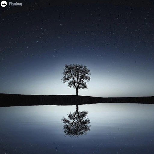 Bei sternenklarem Nachthimmel spiegelt sich ein einzelner Baum in der Wasseroberfläche eines Sees.