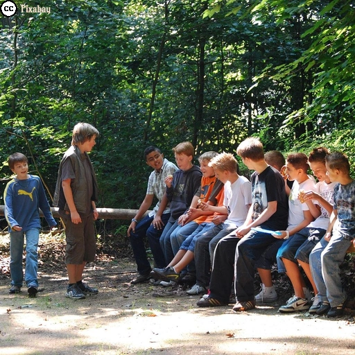 Eine Gruppe Jugendlicher trifft sich an einem sonnigen Waldweg an einem rustikalen Zaun und unterhält sich.