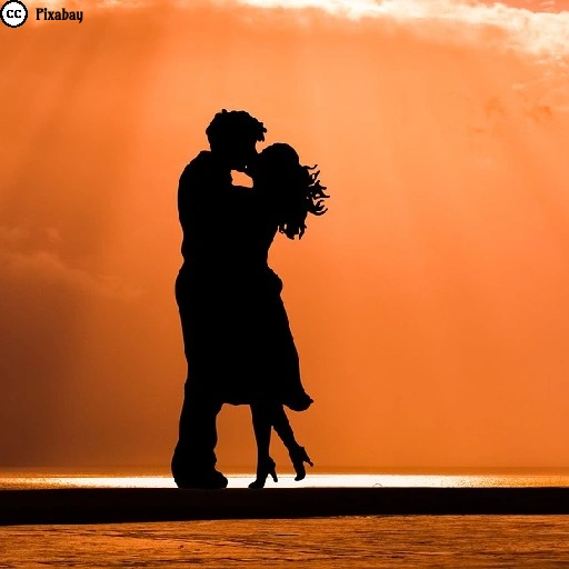 Die Silhouette eines Paares, das vor einem orangefarbenen Sonnenuntergang steht und sich küsst.