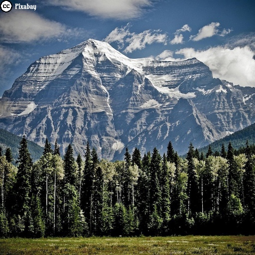 Hohe, verschneite Berge ragen hinter einem Wald auf. Bild von Keith Johnston auf Pixabay.